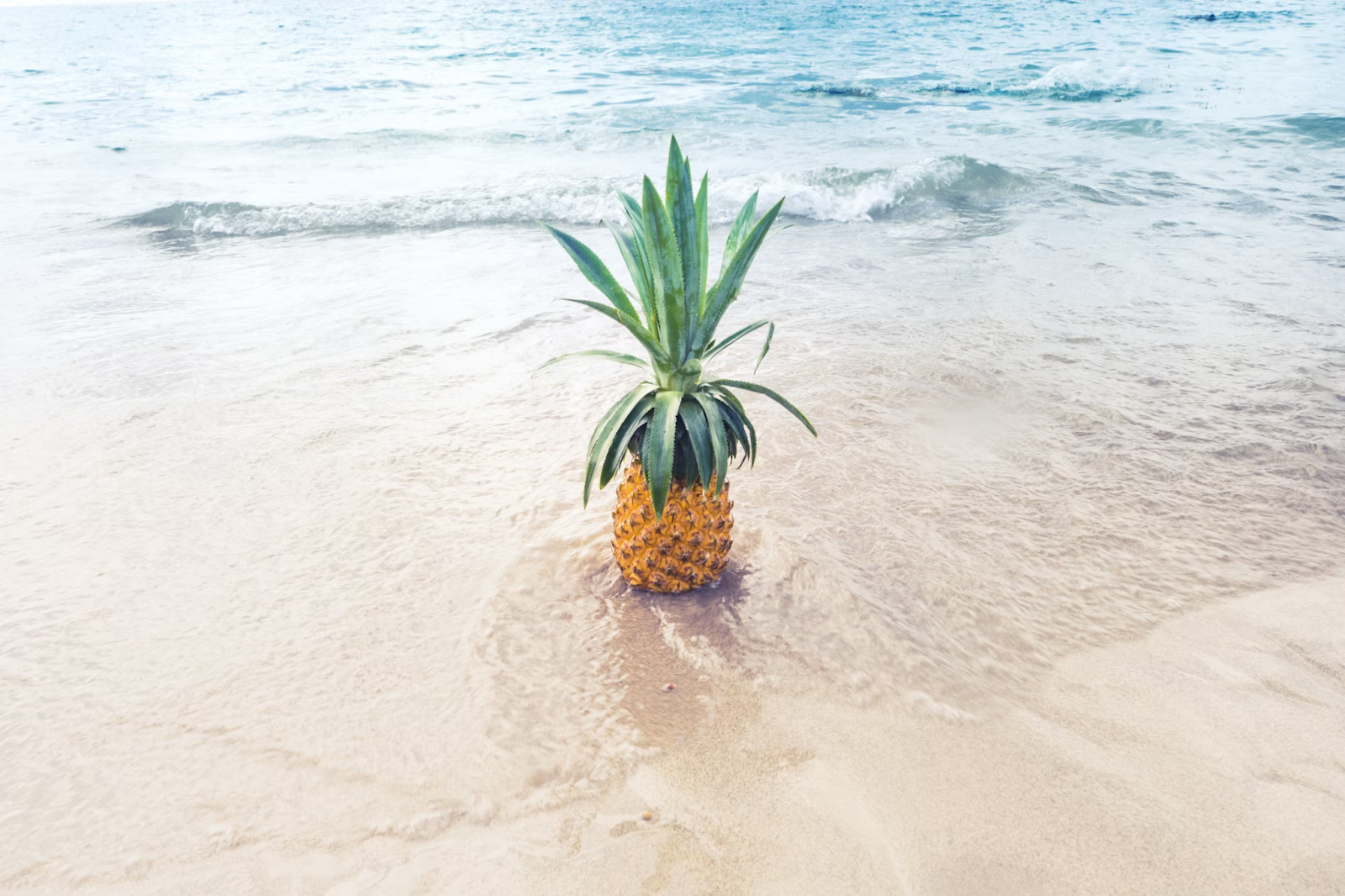 Bromelain is naturally found in pineapple