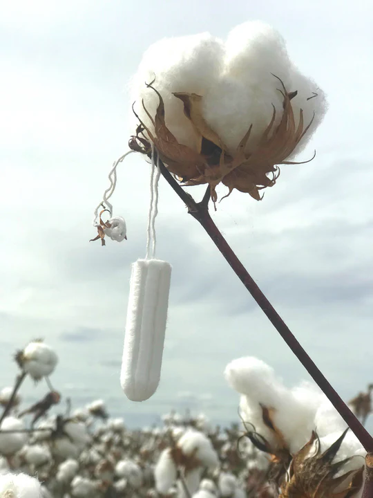 A display of a tampoon and cotton. this is used as a Survival Hacks as Common Household Items for Camping