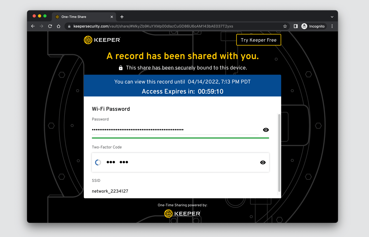 Screenshot showing how One-Time Share looks like on the recipient's end.