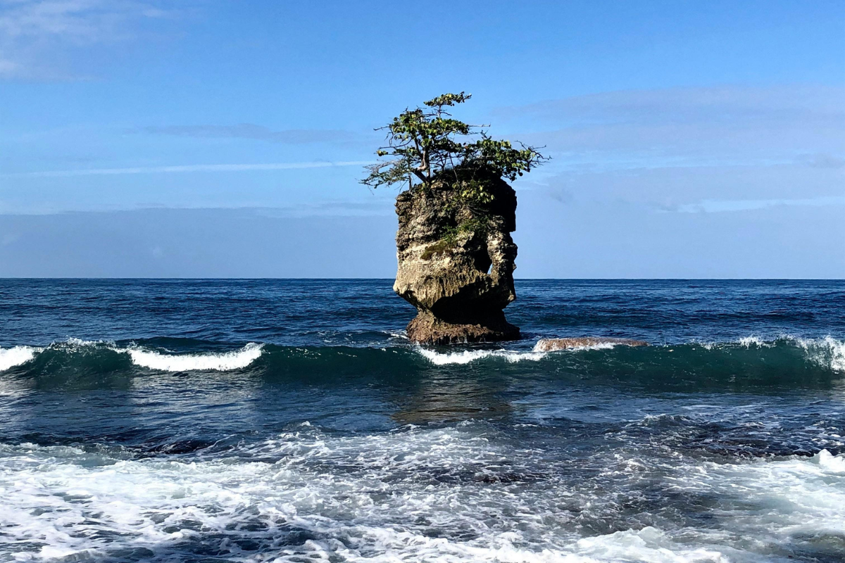 Playa Gandoca near Punta Uva 