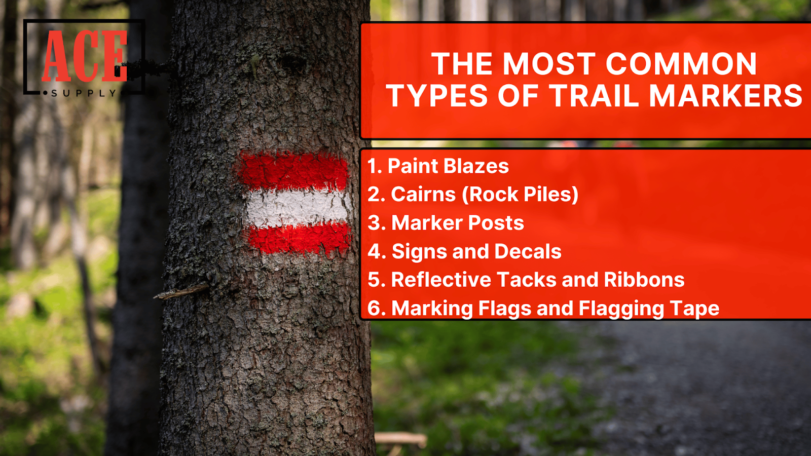 The Most Common Types of Trail Markers