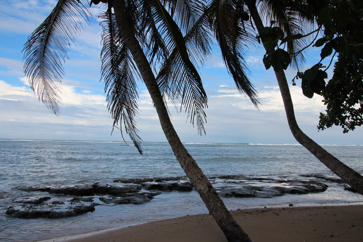 Cahuita National Park