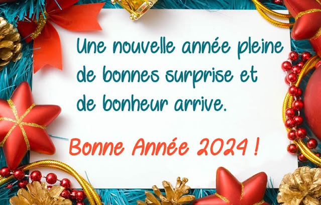 bonne-année-2024-humour-gif