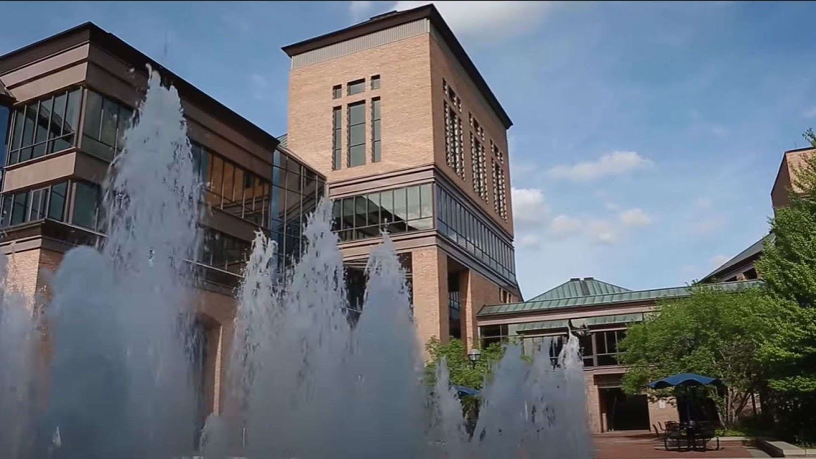 University of Michigan
