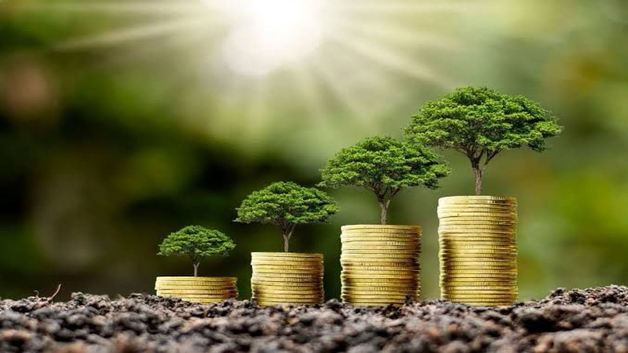 The Rise of Eco-Friendly Investments in Australia