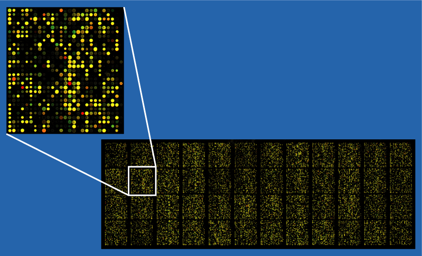 Applications of Gene Microarray Technology