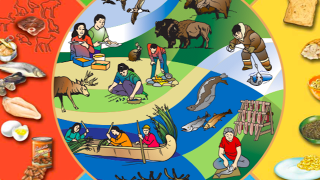 First Nations, Inuit an Métis food guides may be coming, Health Canada  indicates - APTN News