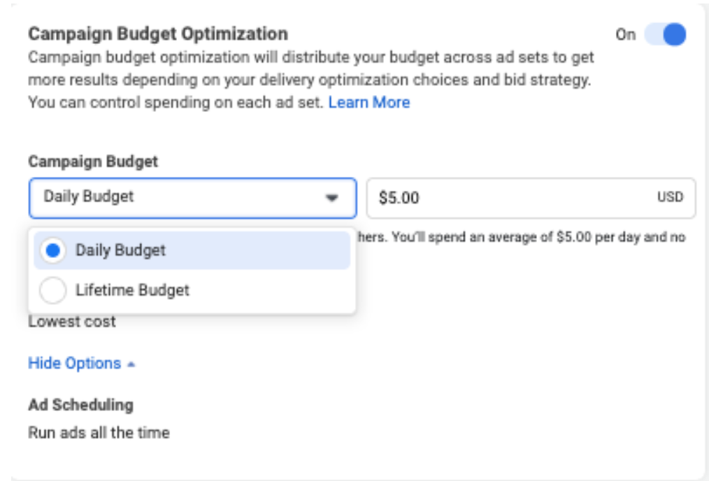 Select a type of ad budget from the dropdown menu at the campaign or ad set level