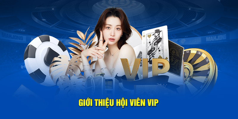 Giới thiệu hội viên VIP