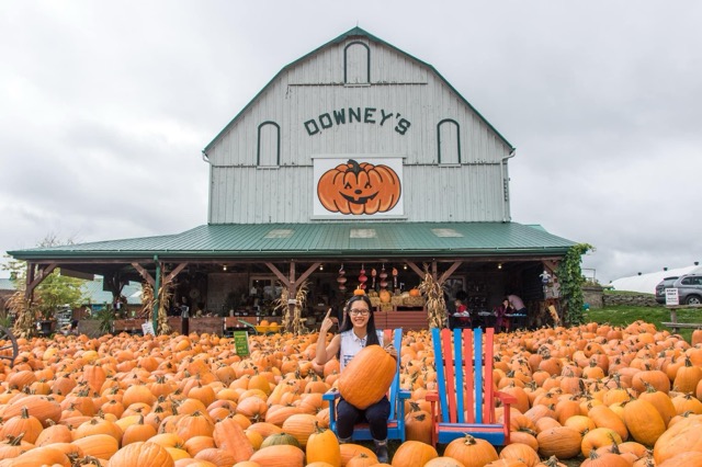 Downey's Pumpkin Fest