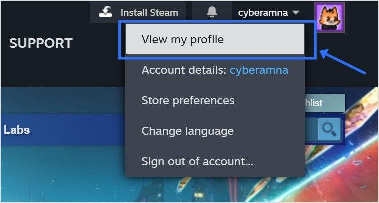 Find your Steam profile URL