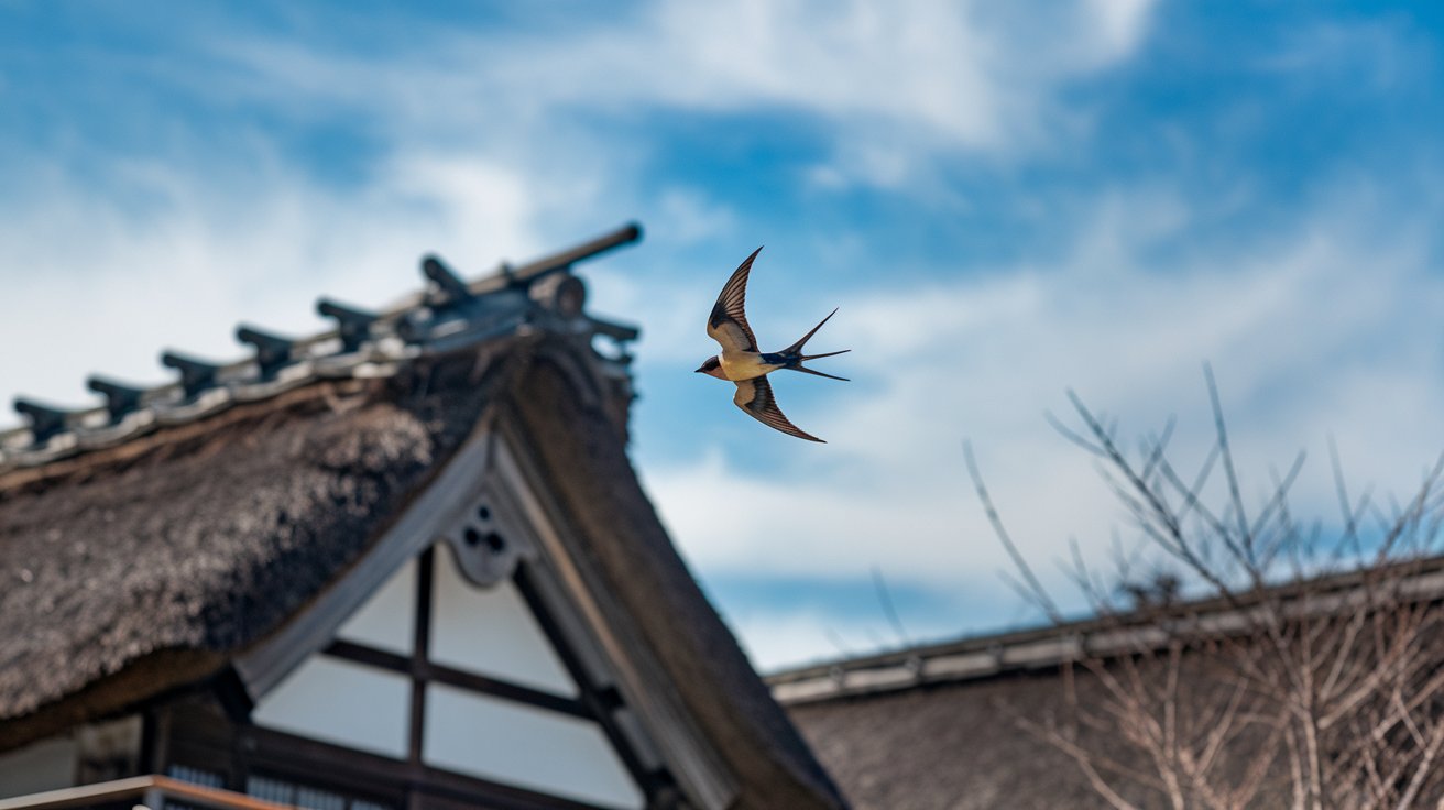 Significance of Swallows in Different Cultures