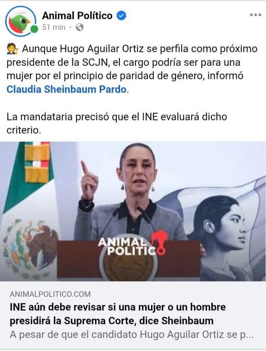 Puede ser una imagen de 2 personas y texto que dice "Animal Político 51 min Aunque Hugo Aguilar Ortiz se perfila como próximo presidente de la SCJN, el cargo podría ser para una mujer por el principio de paridad de género, informó Claudia Sheinbaum Pardo. La mandataria precisó que el INE evaluará dicho criterio. ANIMALC! POLITICO ANIMAL ANIMALPOLITICO.COM INE aún debe revisar si una mujer o un hombre presidirá la Suprema Corte, dice Sheinbaum A pesar de que el candidato Hugo Aguilar Ortiz se p..."