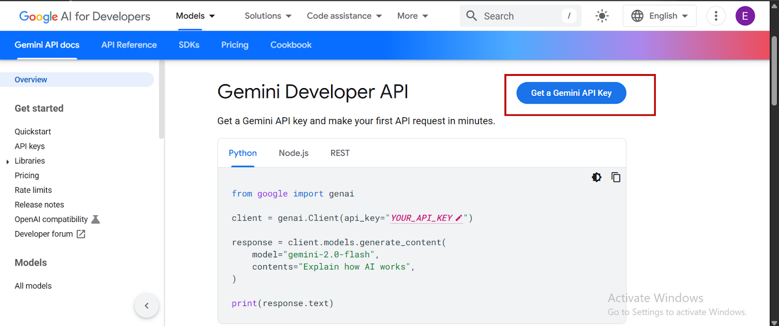 Get a Gemini API Key in Google Developer API website