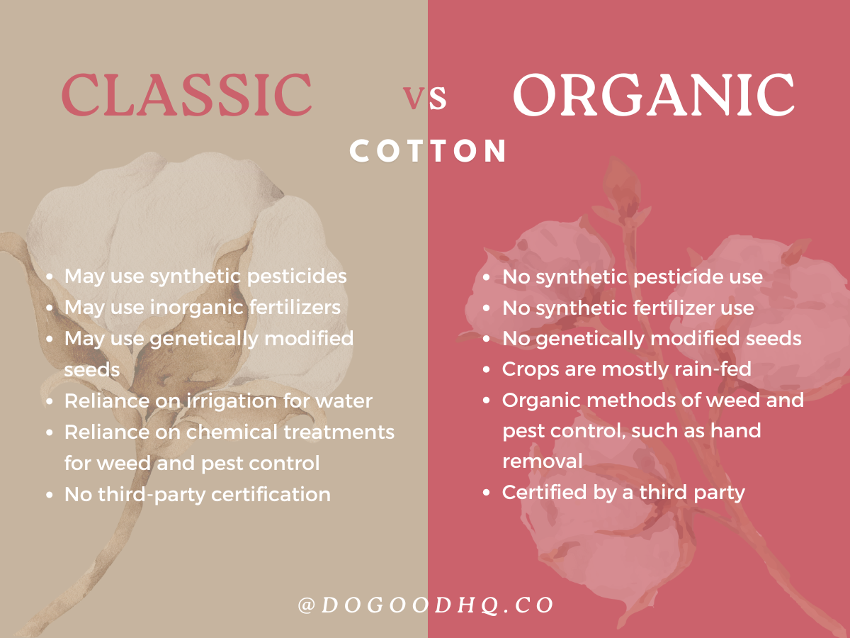 Organic Cotton vs. Regular Cotton