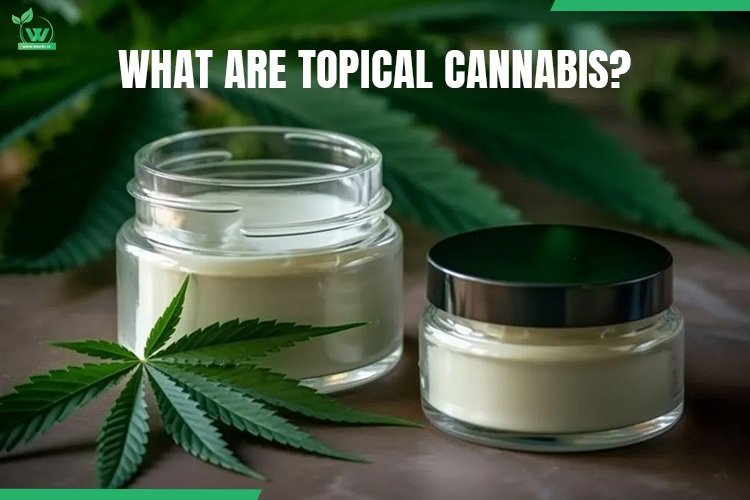 What Are Topical Cannabis? 