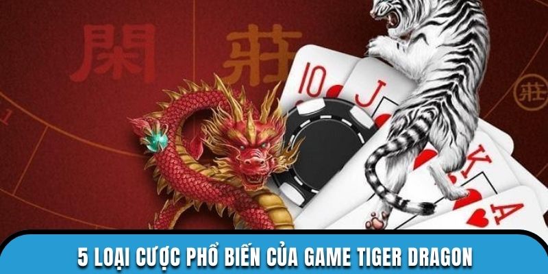 5 loại cược phổ biến của game Tiger Dragon