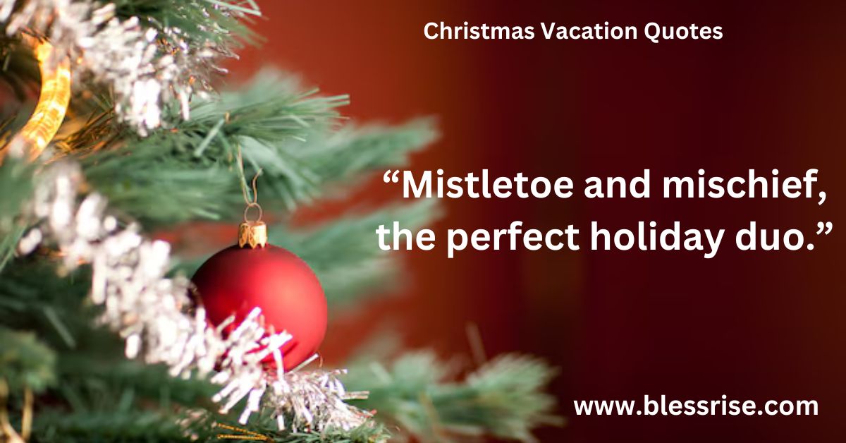 Hilarious Christmas quotes