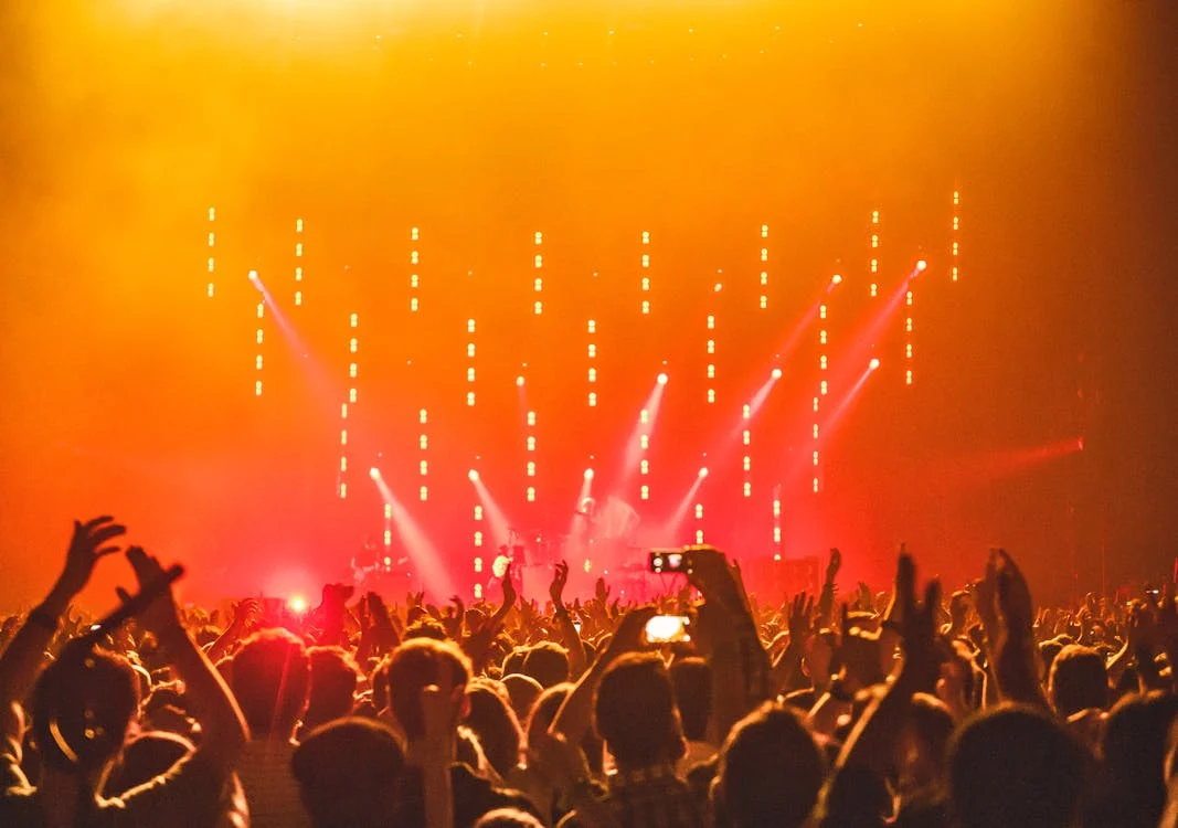 Photo by anna-m. w.: https://www.pexels.com/photo/people-enjoying-the-concert-1047442/ 