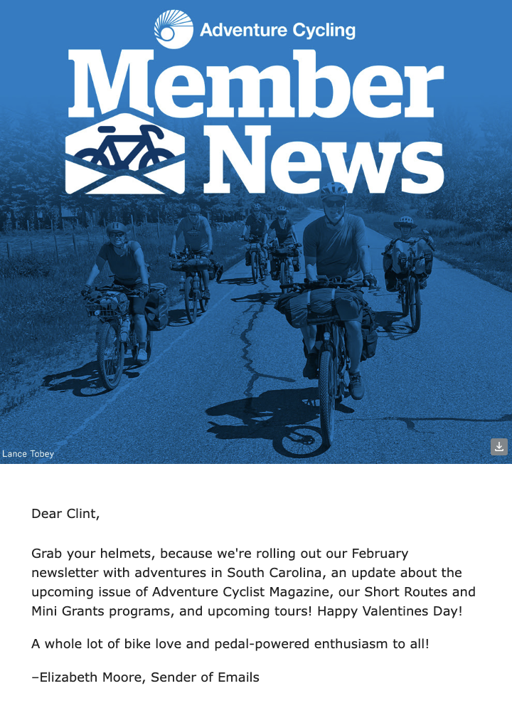 email marketing newsletter example