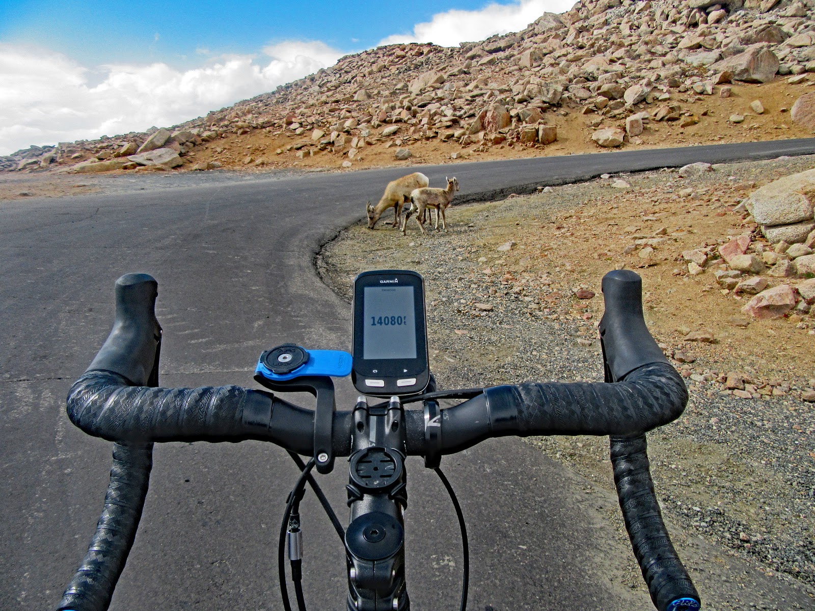 Cycling Mt. Evans - Garmin headset with road, bike and deer