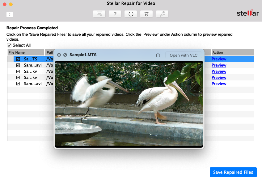 Stellar Repair for Video preview tab 