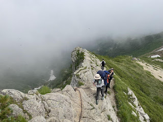 山の中の道を歩く人々

自動的に生成された説明