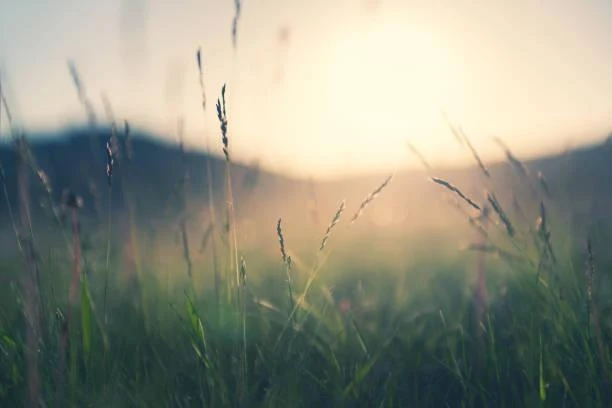 20 Serene Nature Photos to Refresh Your Mind, serene nature, peaceful photos, nature, landscape, calming images, landscape calm