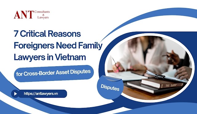 7 Critical Reasons Foreigners Need Family Lawyers in Vietnam for Cross-Border Asset Disputes