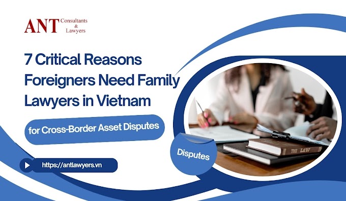 7 Critical Reasons Foreigners Need Family Lawyers in Vietnam for Cross-Border Asset Disputes