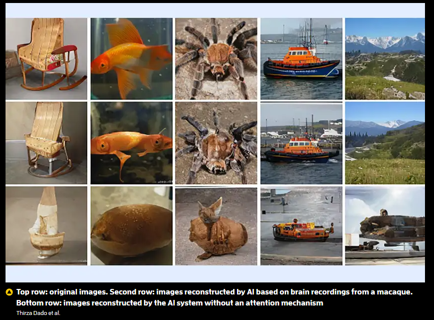 A collage of different images

Description automatically generated