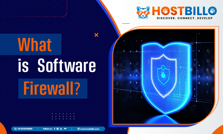 What is Software Firewall?