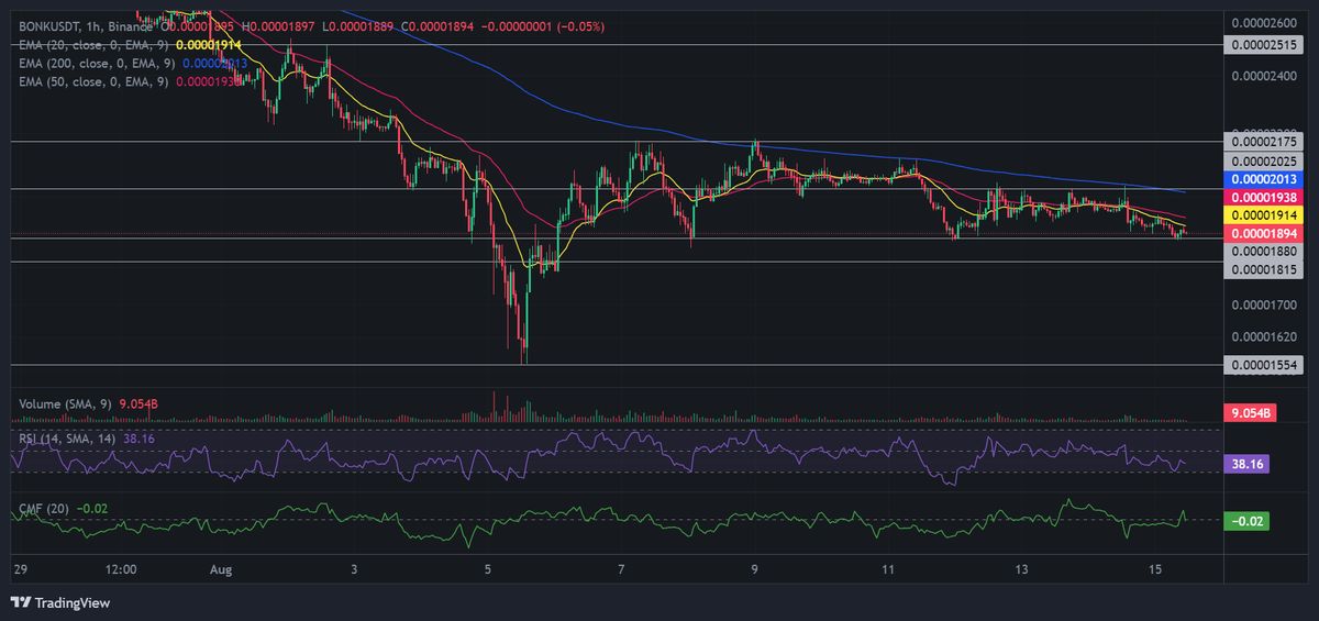 BONK/USDT 1H Chart. Source: Binance.