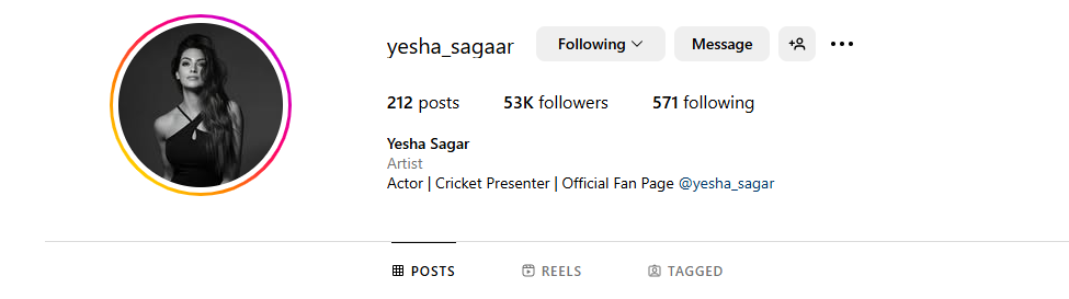 Instagram bio