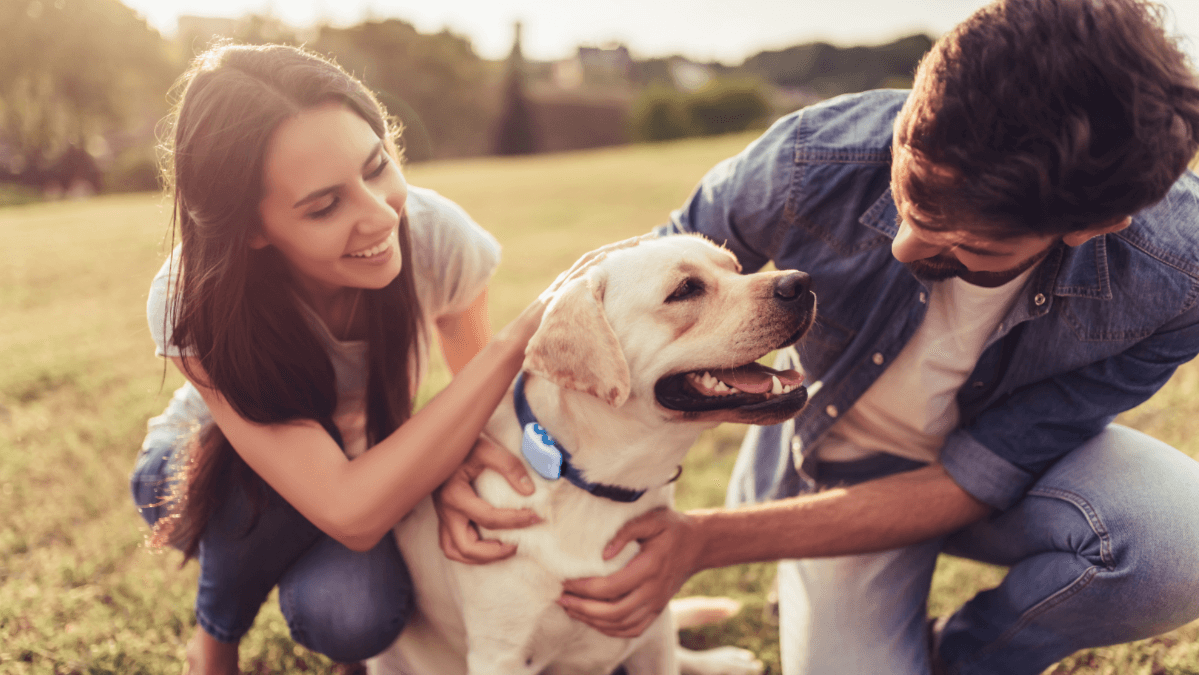 Un homme et une femme serrant dans leurs bras un chien portant un GPS Tractive