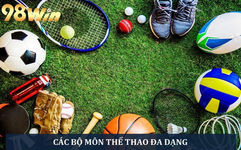 Các bộ môn thể thao đa dạng nhất hiện nay