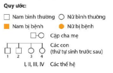 BÀI 14. DI TRUYỀN HỌC NGƯỜI