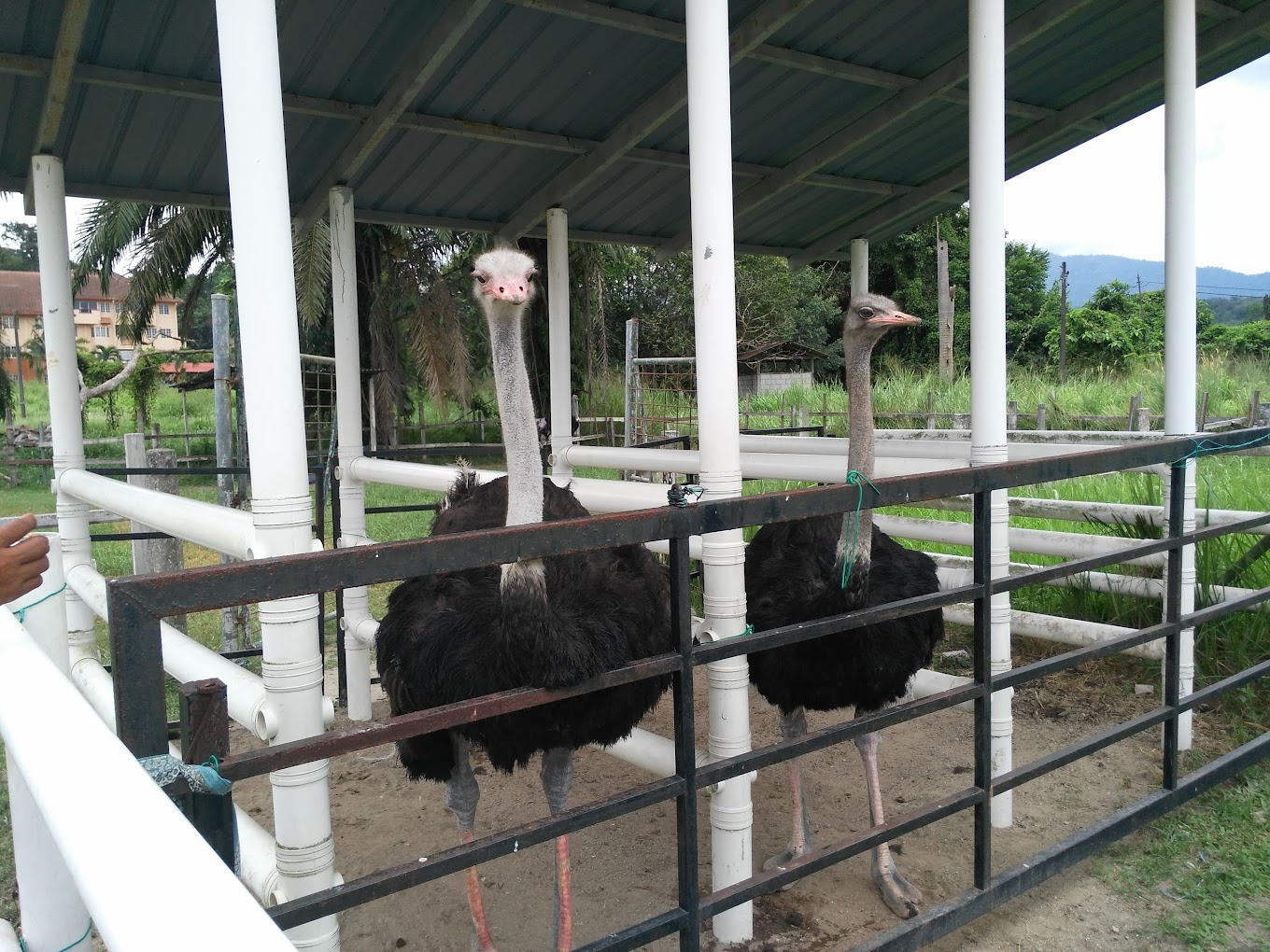 Tempat Menarik di Negeri Sembilan