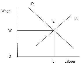 NCERT Microeconomics Solutions for Class 12 Chapter 5-6