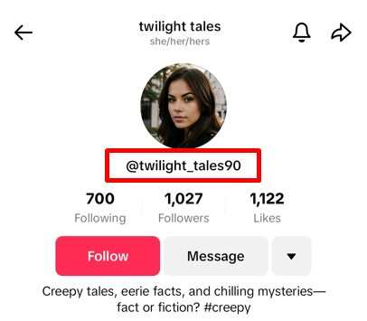 TikTok Username Ideas: Get Noticed, Get Following!