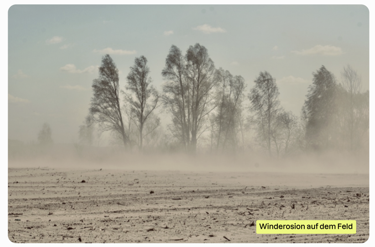 Winderosion auf einem brachen Feld 