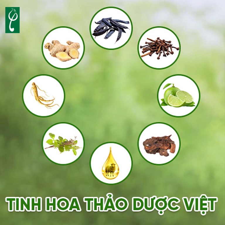 Các loại thảo dược phổ biến có trong dầu gội đầu