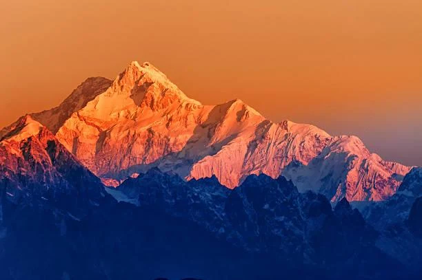 18 Fields That Glow at Golden Hour, golden fields, sunset glow, nature, forest, landscape, radiant earth, evening shine