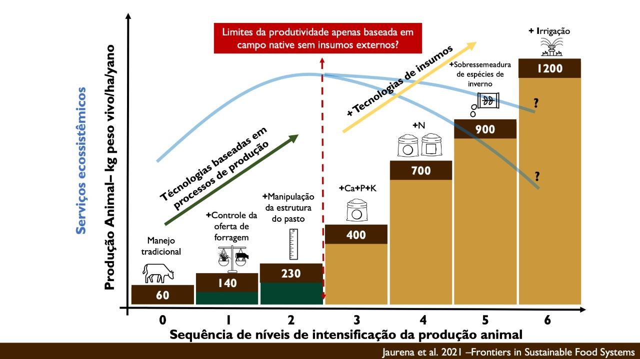 Linha do tempo

Descrição gerada automaticamente