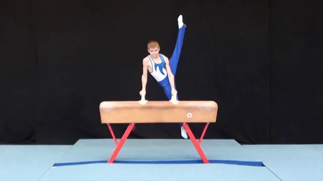 Basic Moves on the Pommel Horse - Single Leg Swings