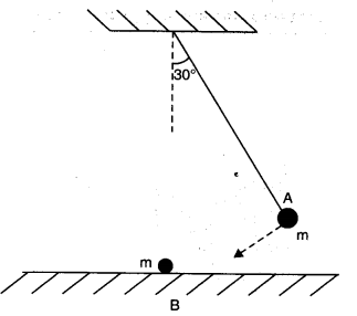 NCERT Solutions for Class 11 Physics Chapter 6 Work Energy and Power Q17