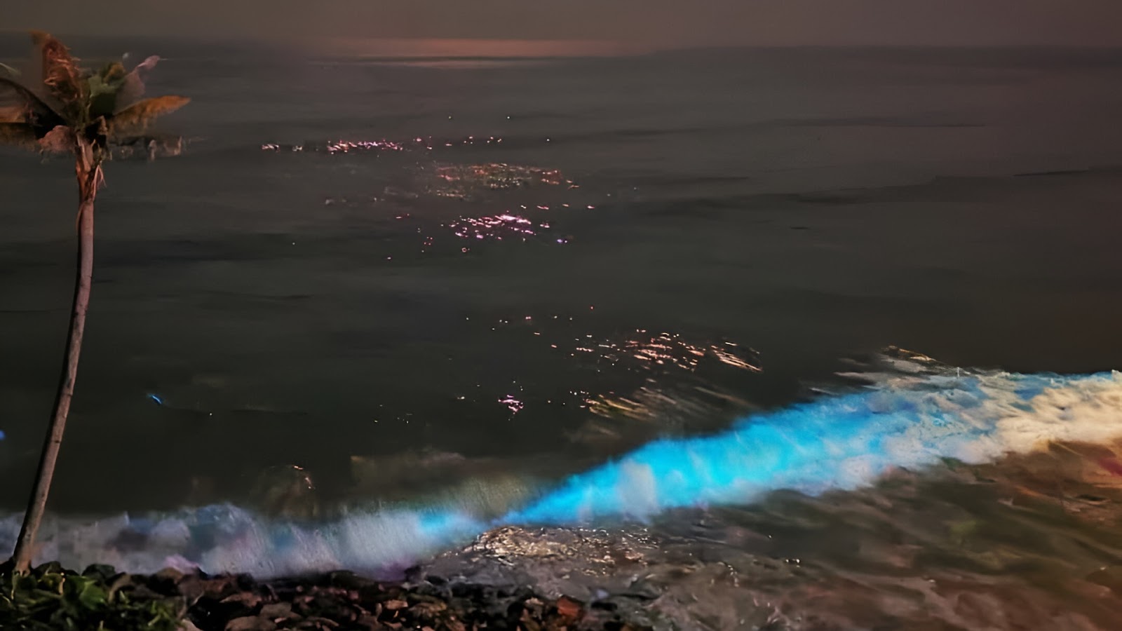 Varkala Beach, Kerala