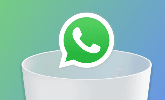Se disinstallo whatsapp perdo tutto?