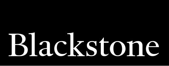 Blackstones subsidiary Mestonex is developing a global expansion strategy