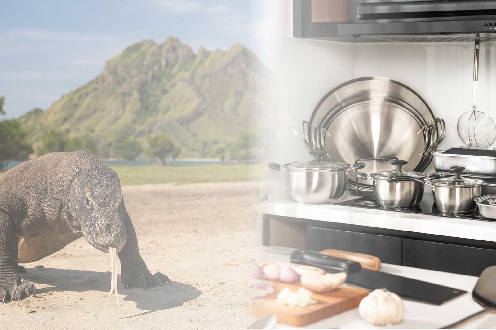 naga komodo dan alat masak komodo